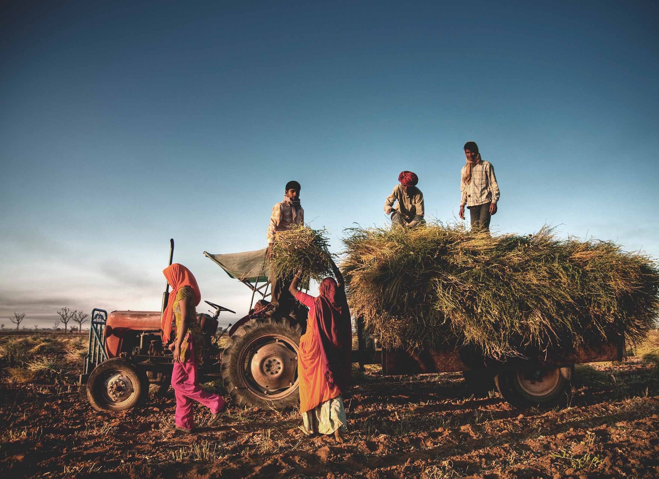 L’impact des pratiques agricoles durables sur les épices : un voyage vers des saveurs d’exception